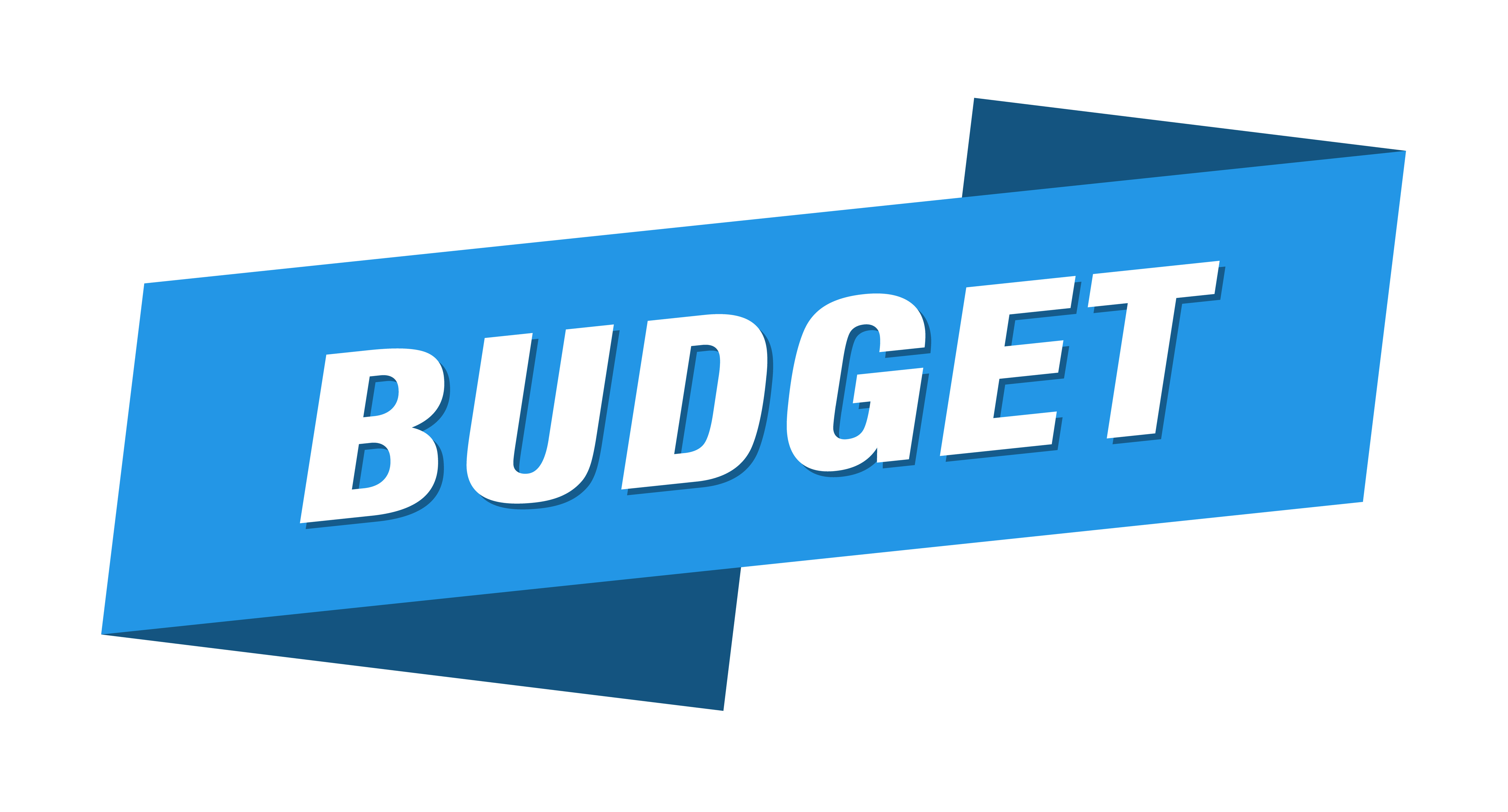 Image of Budget icon