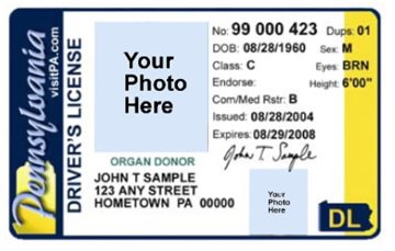 Driver's License Image of a blank Pennsylvania Drivers License