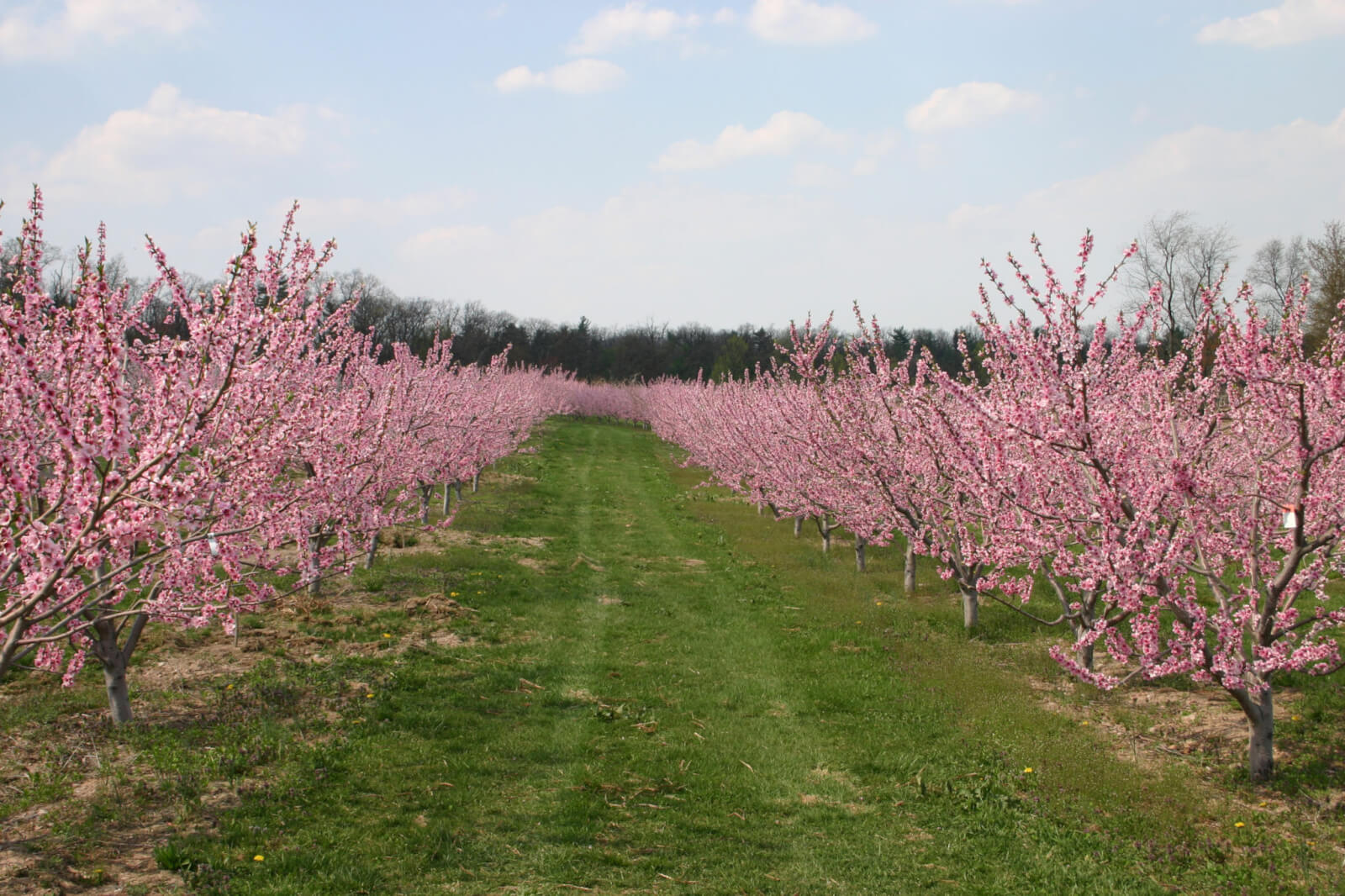 Adams County PA Test