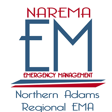 Narema logo