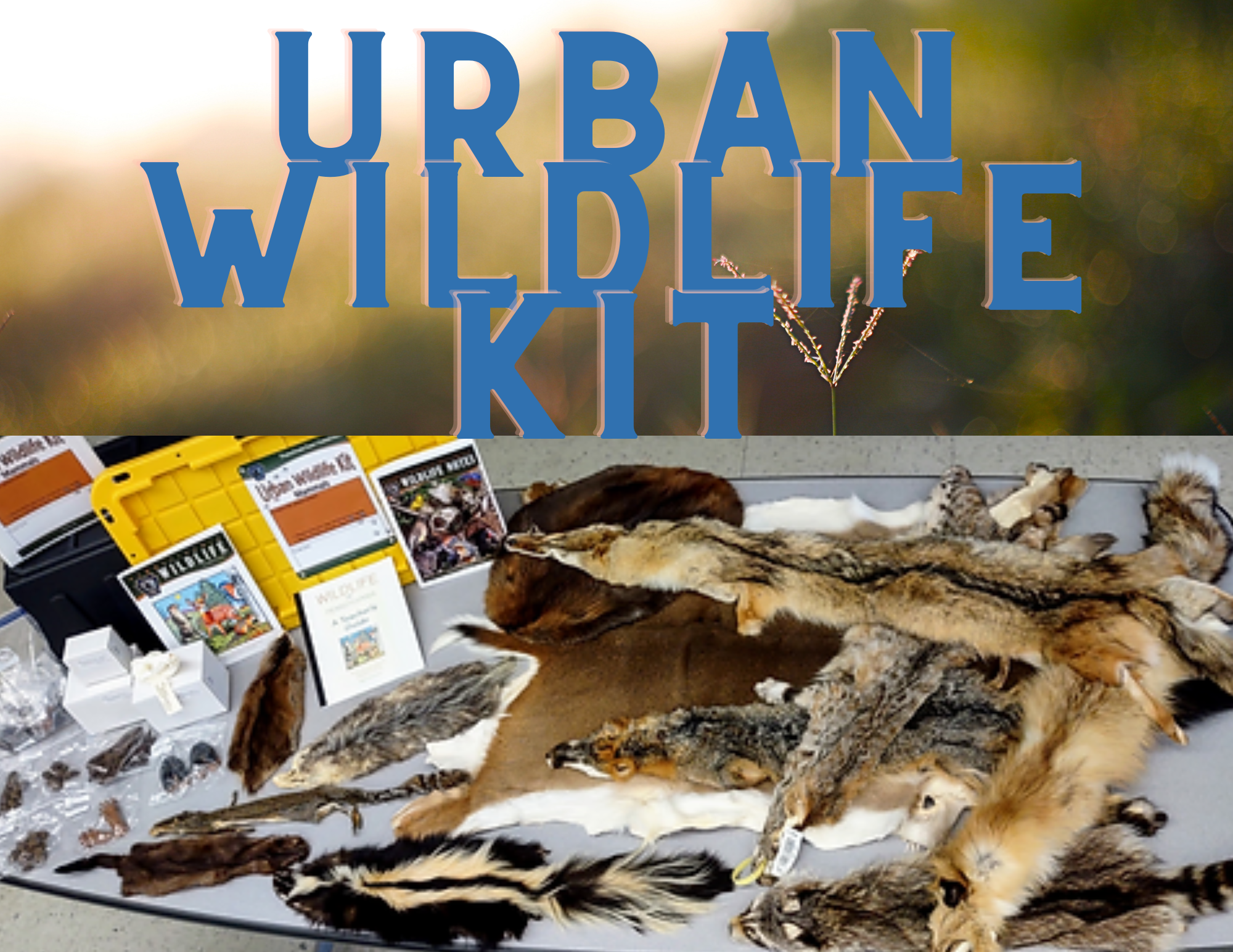 Image of the Urban Wildlife Kit