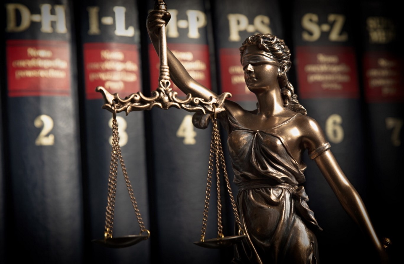 NewTitles Image of law books on a shelf