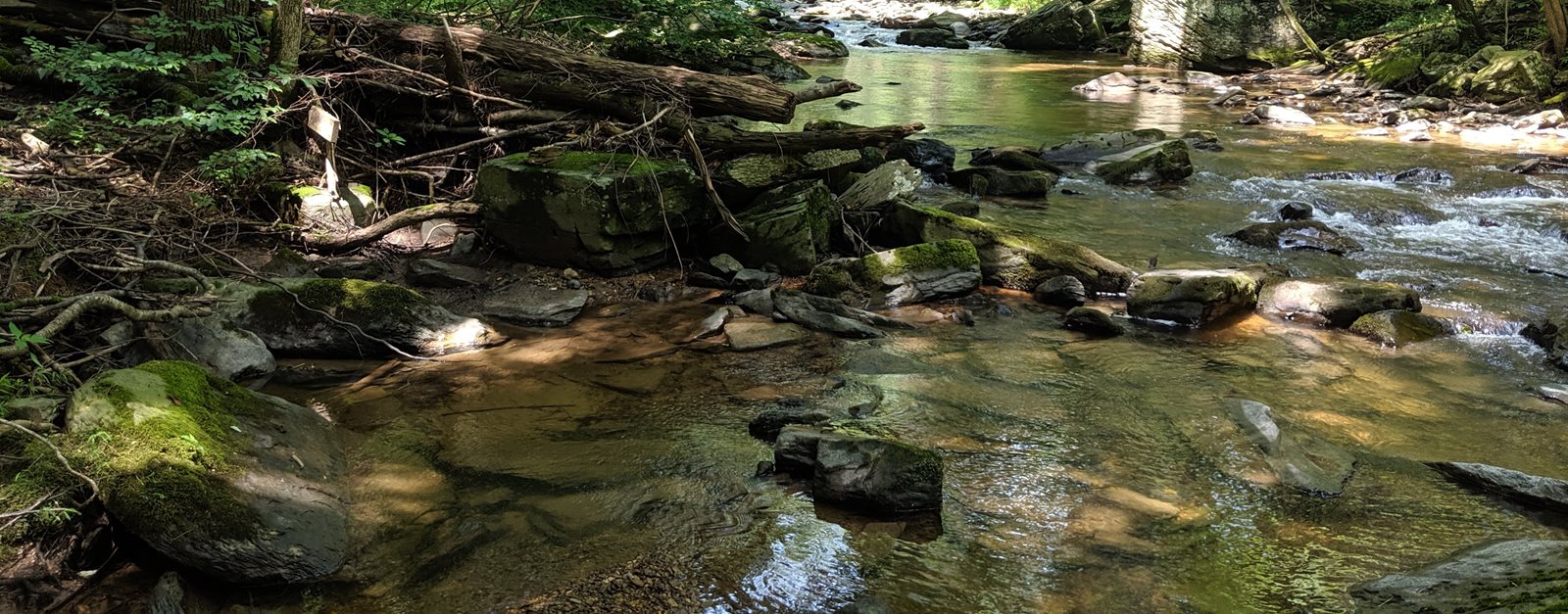 Image of a Creek